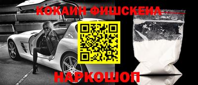 2c-b Камышлов