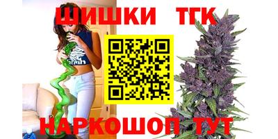 2c-b Камышлов