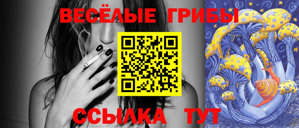 Псилоцибиновые грибы мухоморы  Псилоцибиновые грибы Cubensis  Краснокаменск  Вход с VPN 